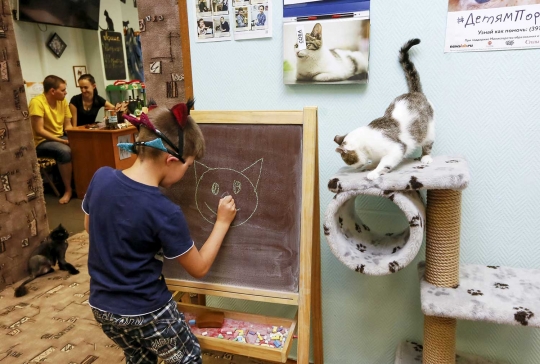 Melihat kelucuan tingkah kucing di 'Kis-Kis' Cat Cafe
