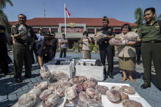 Bea Cukai Juanda gagalkan penyelundupan 1,3 ton daging trenggiling