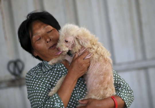 Wanita ini rela habiskan jutaan uang demi selamatkan ribuan anjing