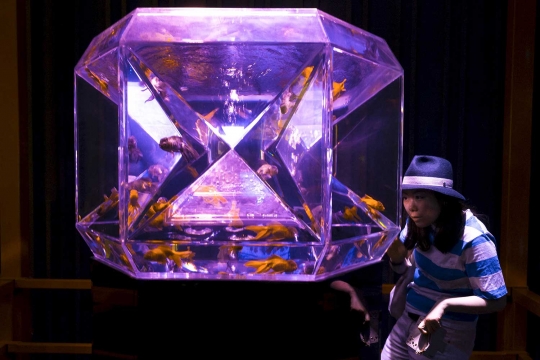 Melihat keunikan Pameran Seni Aquarium di Tokyo
