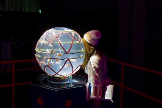 Melihat keunikan Pameran Seni Aquarium di Tokyo