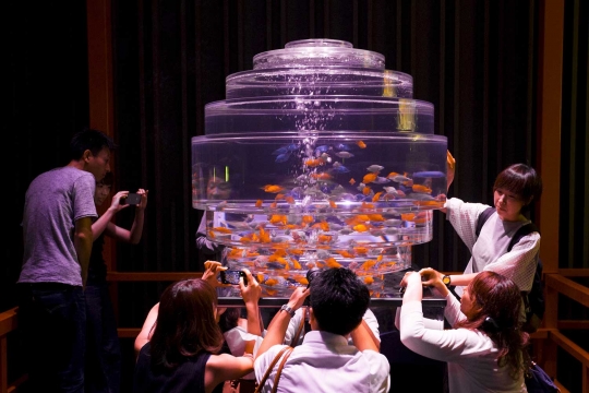 Melihat keunikan Pameran Seni Aquarium di Tokyo