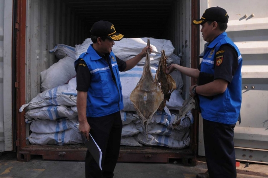 Bea cukai gagalkan penyelundupan ikan laut ke luar negeri