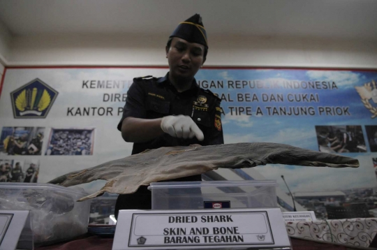 Bea cukai gagalkan penyelundupan ikan laut ke luar negeri