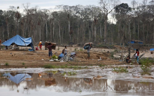 Kamp dibakar polisi, penambang liar di Peru tinggalkan Hutan Amazon