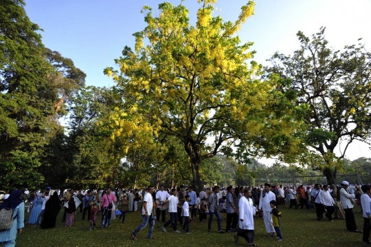 Melaksanakan Salat Idul Fitri 1436 H di Kebun Raya Bogor