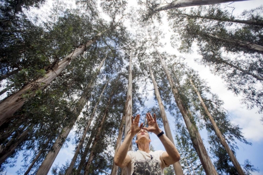 Tolak penggundulan hutan, aktivis di AS nekat bugil peluk pohon