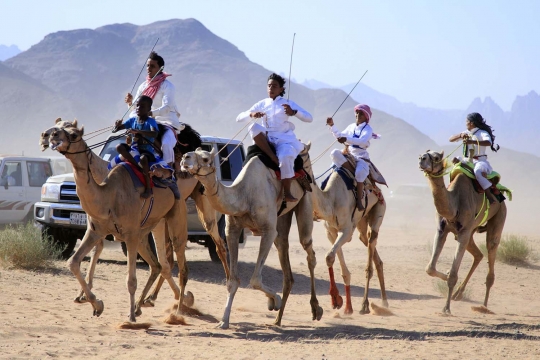 Tradisi balap unta meriahkan Idul Fitri di Arab Saudi