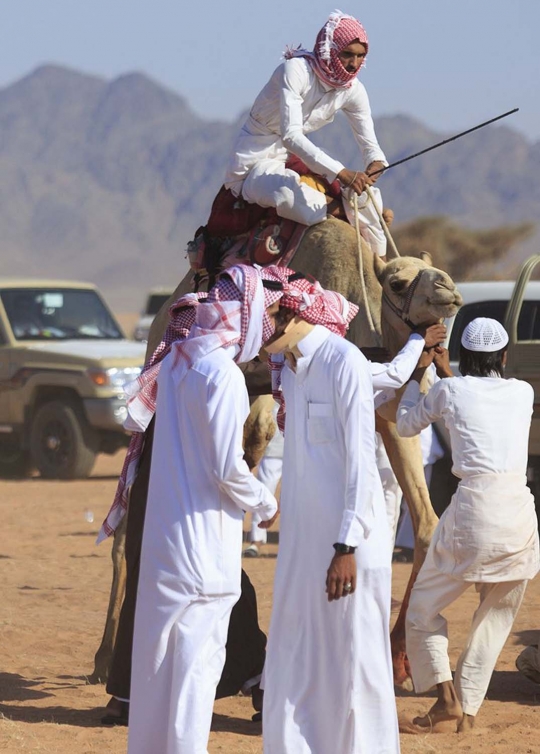 Tradisi balap unta meriahkan Idul Fitri di Arab Saudi