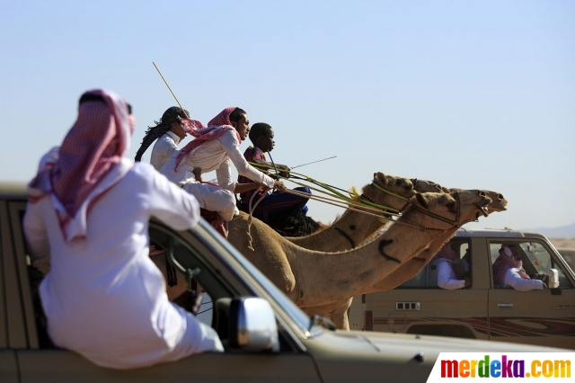 Foto : Tradisi balap unta meriahkan Idul Fitri di Arab 