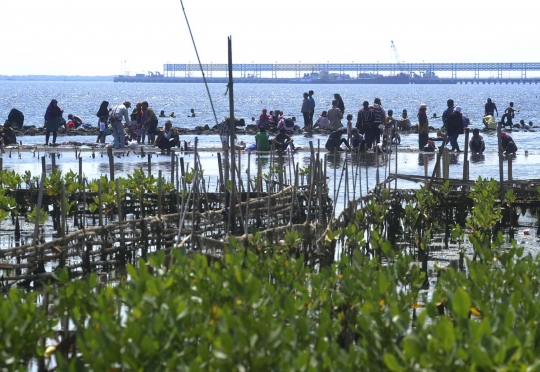 Berwisata murah meriah di Pantai Marunda