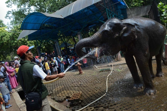 Keramaian warga Ibu Kota habiskan sisa liburan di Ragunan