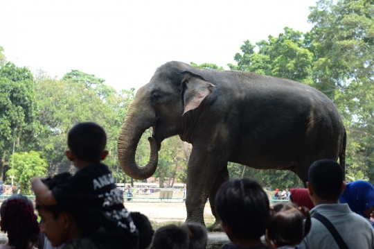 Keramaian warga Ibu Kota habiskan sisa liburan di Ragunan