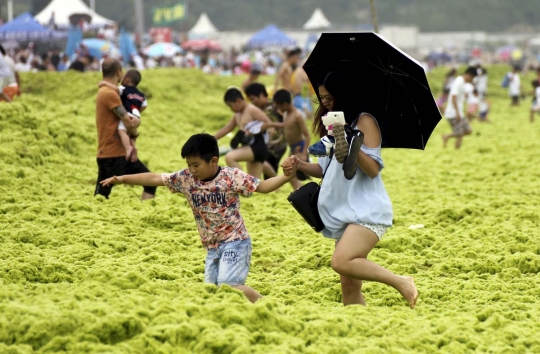 Penampakan pantai di China berubah jadi lautan ganggang
