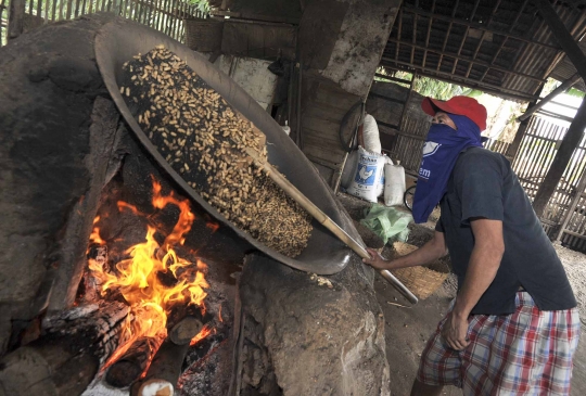 Usai Lebaran, pembuat kacang sangrai raup untung berlipat