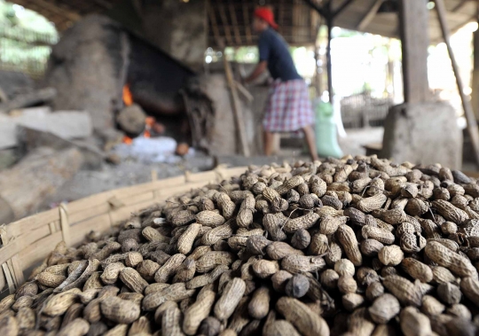 Usai Lebaran, pembuat kacang sangrai raup untung berlipat