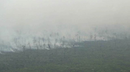 Aksi helikopter BNPB padamkan kebakaran hutan dengan water bombing