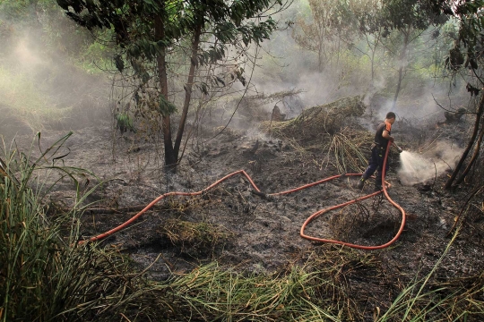 Kemarau panjang, kabut asap selimuti Pekanbaru