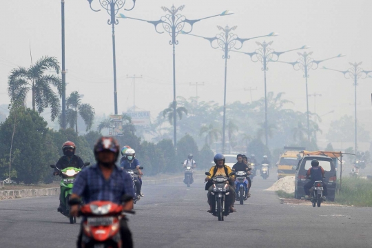 Kemarau panjang, kabut asap selimuti Pekanbaru