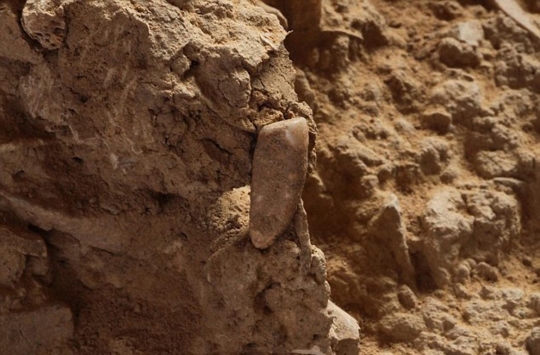 Penemuan gigi manusia purba berusia 560.000 tahun di Gua Arago