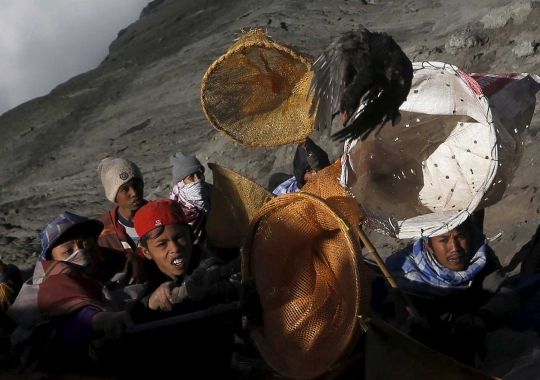 Upacara Kasada, warga lempar hewan ternak ke kawah Bromo