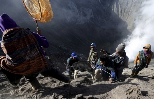 Upacara Kasada, warga lempar hewan ternak ke kawah Bromo