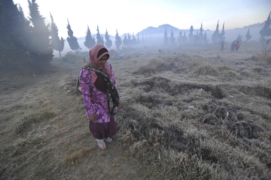 Dinginnya udara Dieng sampai embun berubah jadi es