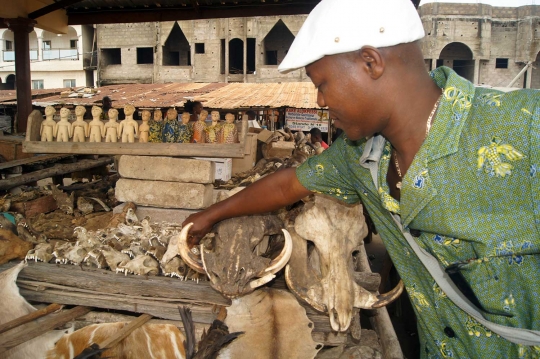 Menengok pasar jimat para dukun di Afrika