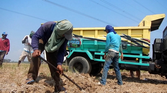 Dilanda kekeringan, petani Cilacap jual bongkahan tanah sawah