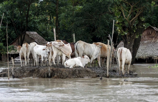 Luapan banjir di Myanmar makin parah