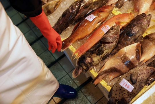 Kegemaran santap seafood ancam ekosistem laut