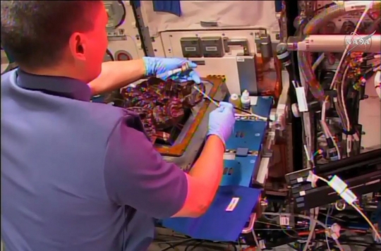 Mengintip astronot makan sayuran hasil tanam di luar angkasa