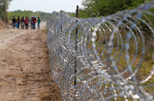 Redam arus imigran, Hungaria pasang duri ratusan KM di perbatasan