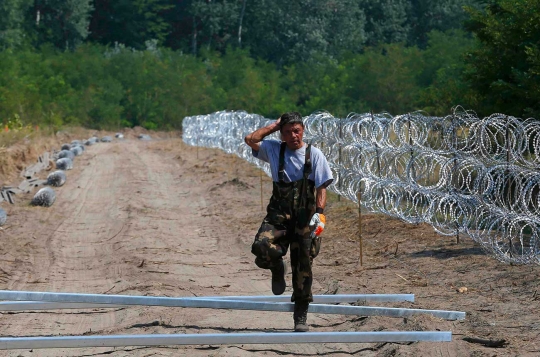 Redam arus imigran, Hungaria pasang duri ratusan KM di perbatasan