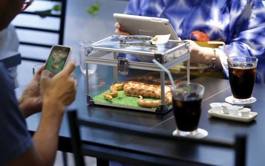 Sensasi merinding makan ditemani ular di kafe Tokyo Snake Center