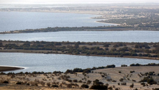 Menelusuri keindahan gurun pasir Al Fayoum