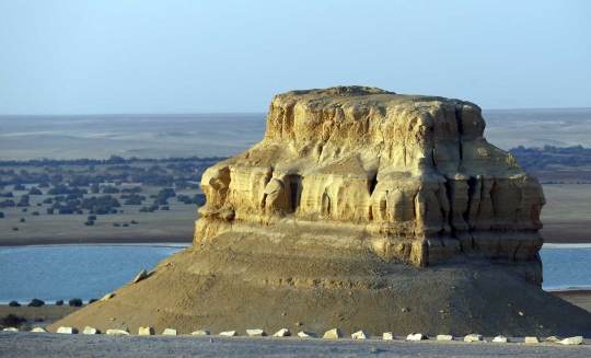 Menelusuri keindahan gurun pasir Al Fayoum