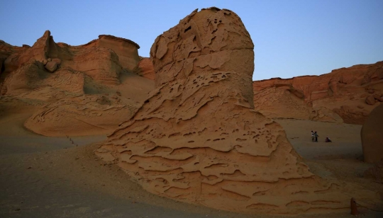 Menelusuri keindahan gurun pasir Al Fayoum