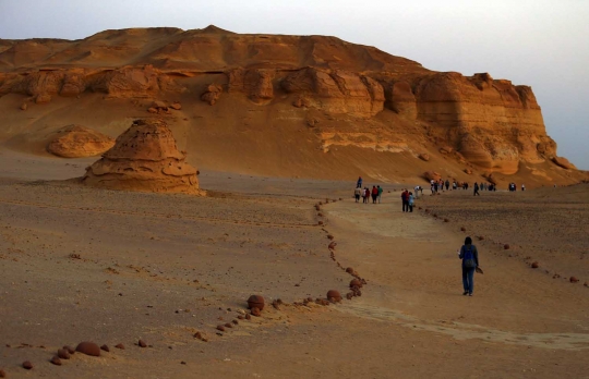 Menelusuri keindahan gurun pasir Al Fayoum