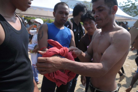 Meriahnya lomba panjat ratusan pohon pinang di Ancol