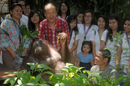 Orang utan ini diberi nama Pacquiao