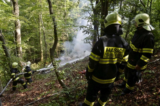 Dua pesawat penerjun payung bertabrakan dan jatuh terbakar di hutan