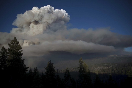 Dahsyatnya asap kebakaran hutan di AS mirip erupsi gunung berapi