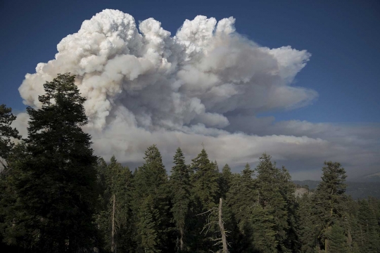 Dahsyatnya asap kebakaran hutan di AS mirip erupsi gunung berapi
