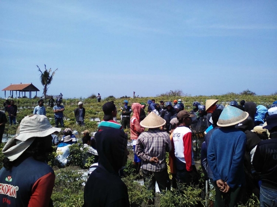 Bentrokan sengit petani vs TNI di Urut Sewu, belasan luka-luka