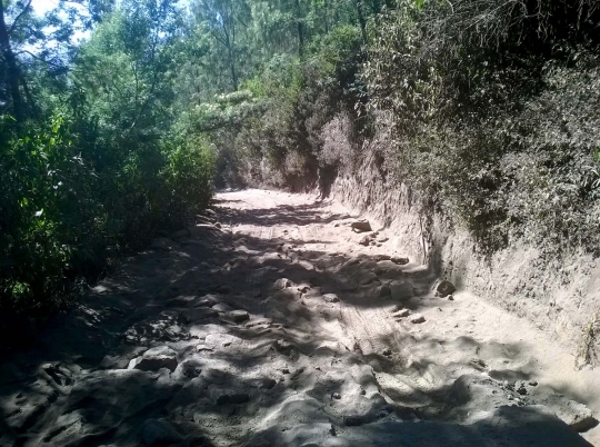 Begini rusaknya akses ke Gunung Bromo via Malang