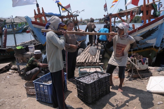 Imbas kemarau, hasil tangkapan nelayan tradisional merosot tajam