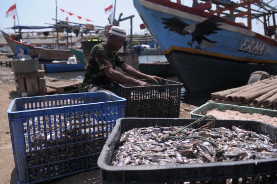 Imbas kemarau, hasil tangkapan nelayan tradisional merosot tajam