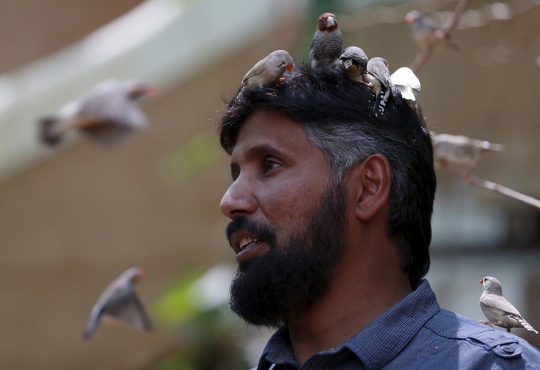 Potret persahabatan pria Saudi dan 500 ekor burung