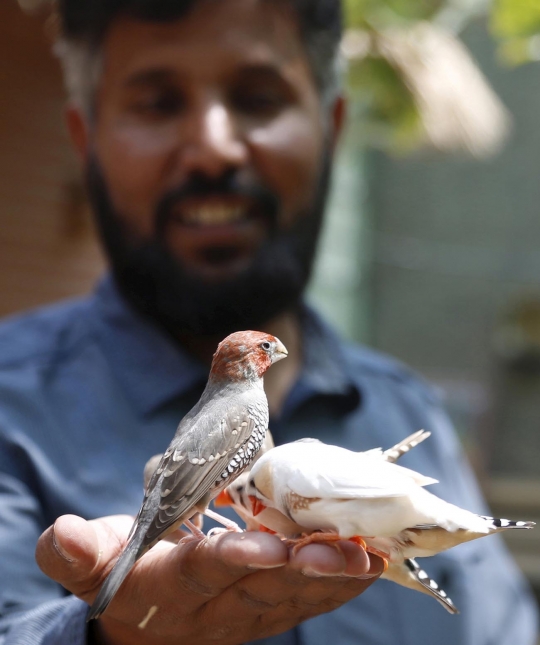 Potret persahabatan pria Saudi dan 500 ekor burung